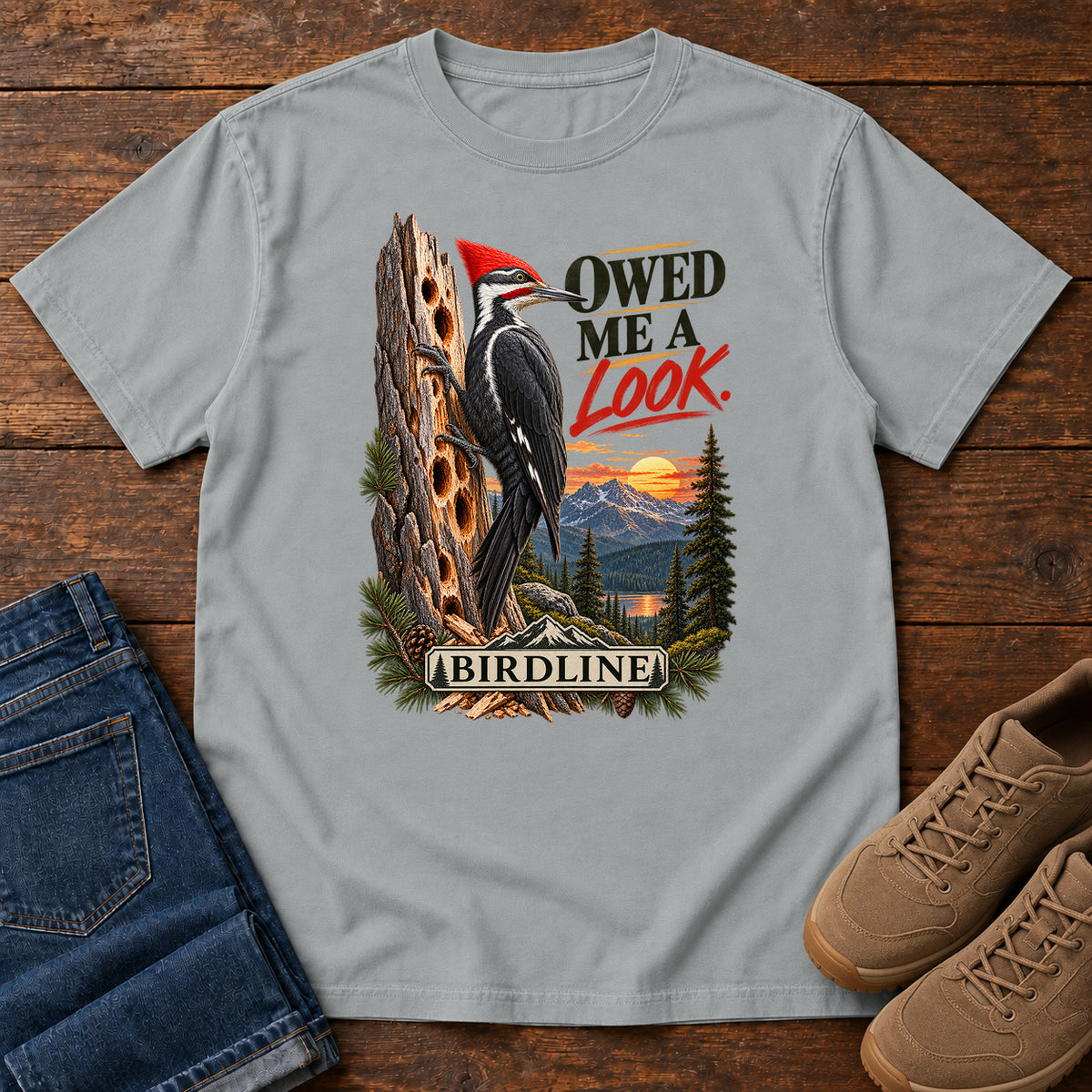 Owed Me a Look T-Shirt in Granite