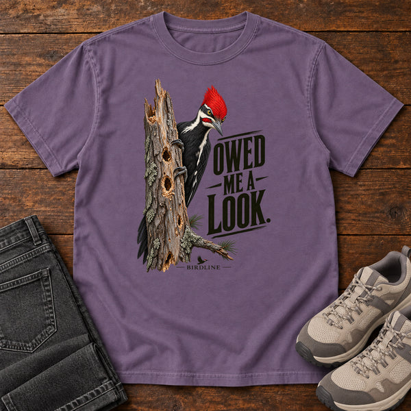 Owed Me a Look Pileated Woodpecker T-Shirt, alternate view