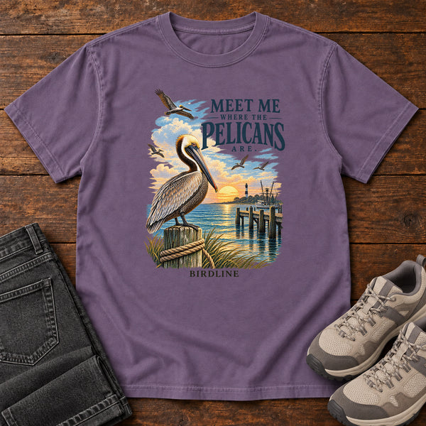 Meet Me Where the Pelicans Are T-Shirt, alternate view