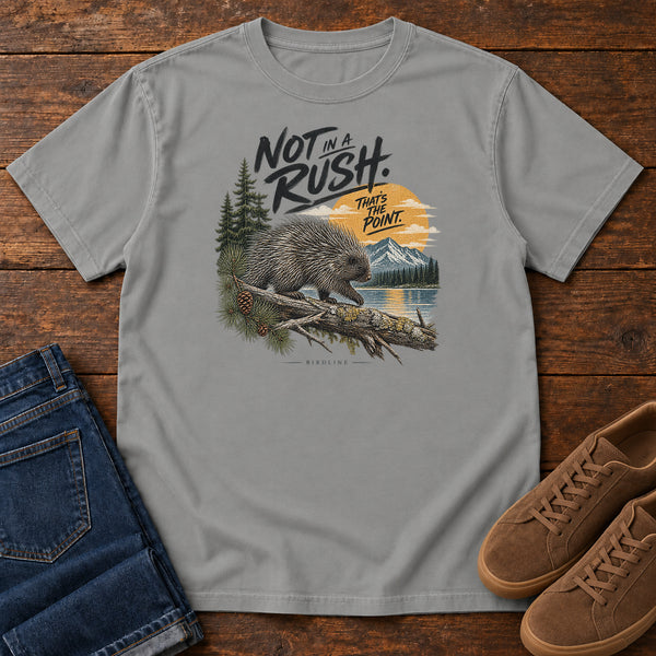 Not in a Rush That's the Point Porcupine T-Shirt in Grey, front view