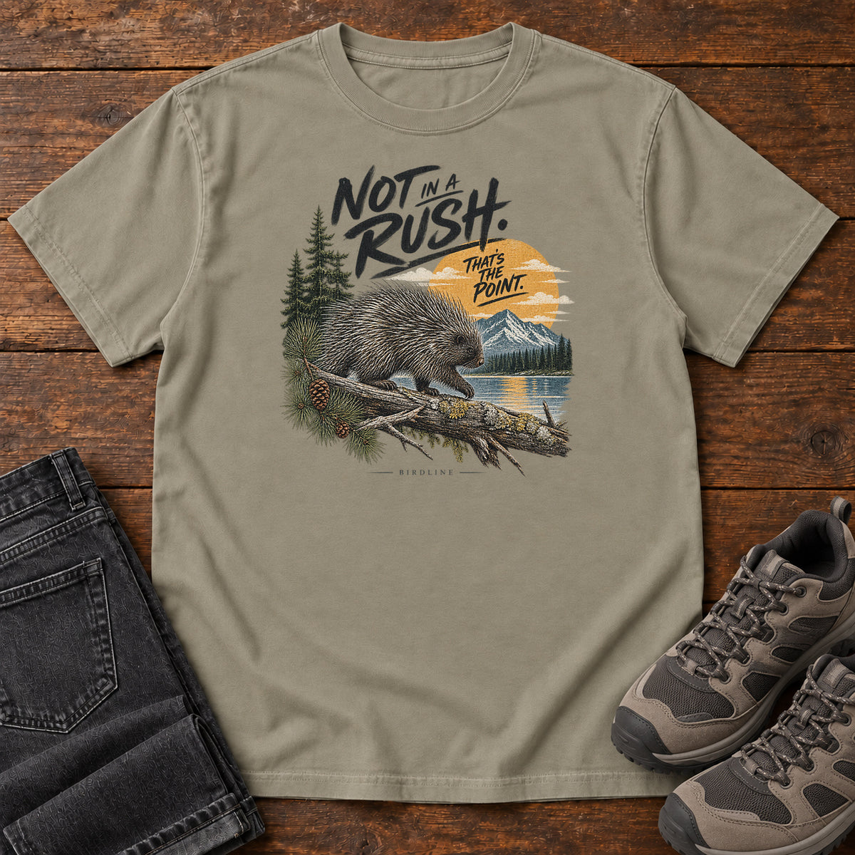 Not in a Rush That's the Point Porcupine T-Shirt in Sandstone