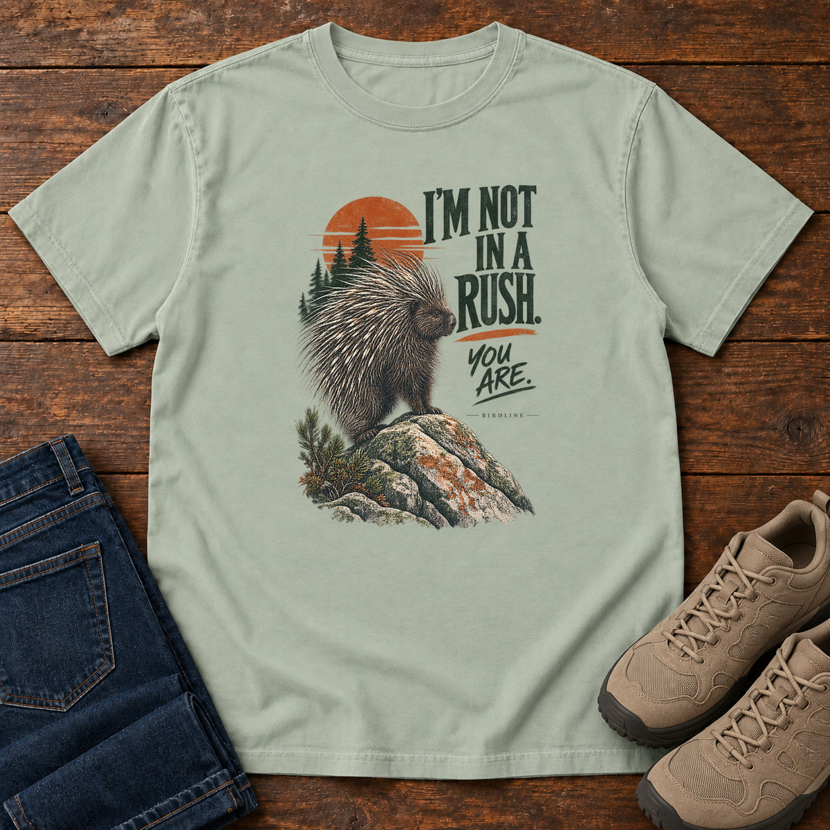 I'm Not in a Rush You Are Porcupine T-Shirt in Bay