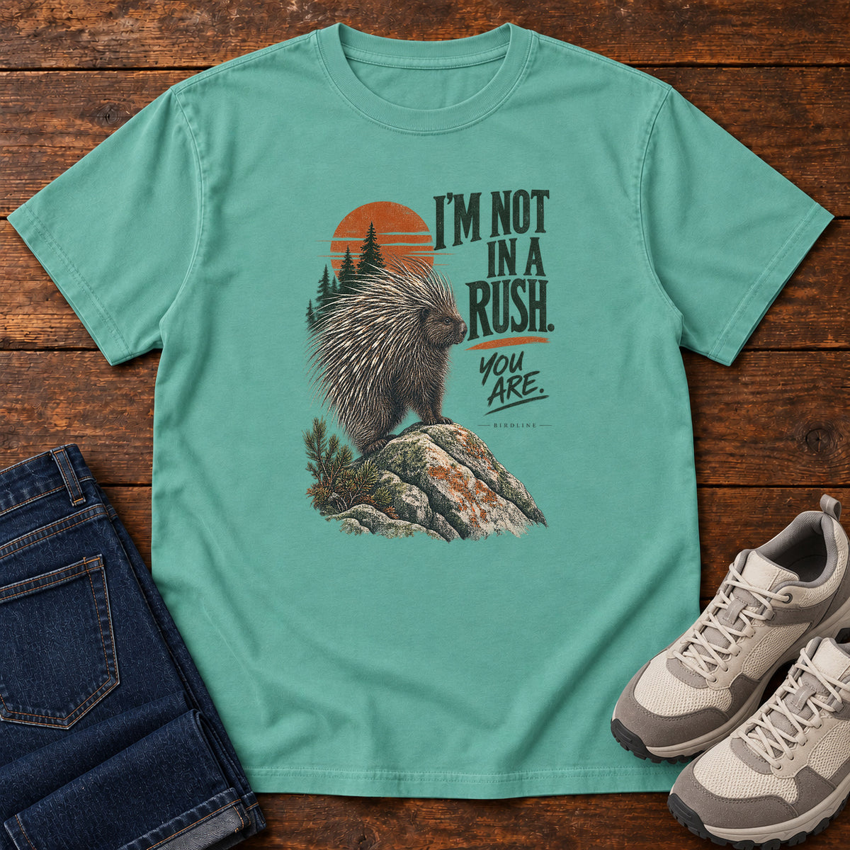 I'm Not in a Rush You Are Porcupine T-Shirt in Seafoam