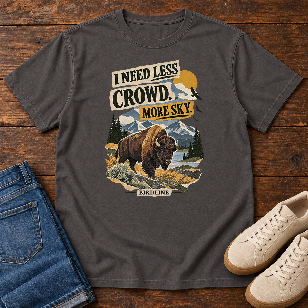 I Need Less Crowd More Sky Bison T-Shirt in Graphite