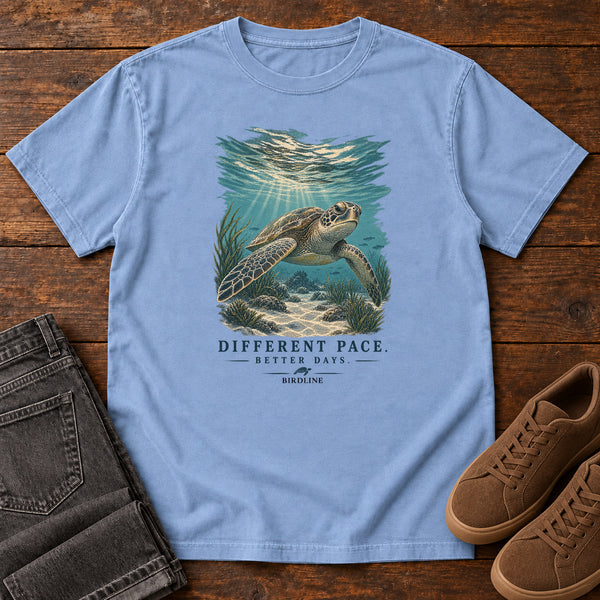 Different Pace Better Days Turtle T-Shirt in Washed Denim, front view