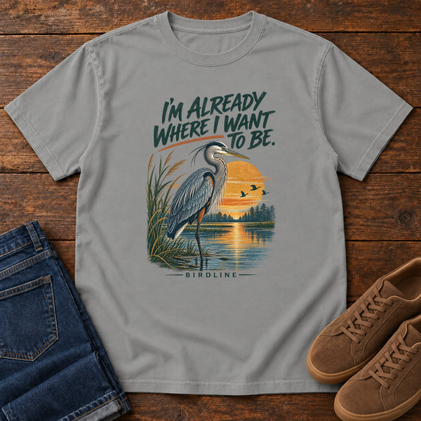 I'm Already Where I Want to Be Heron T-Shirt in Grey, front view