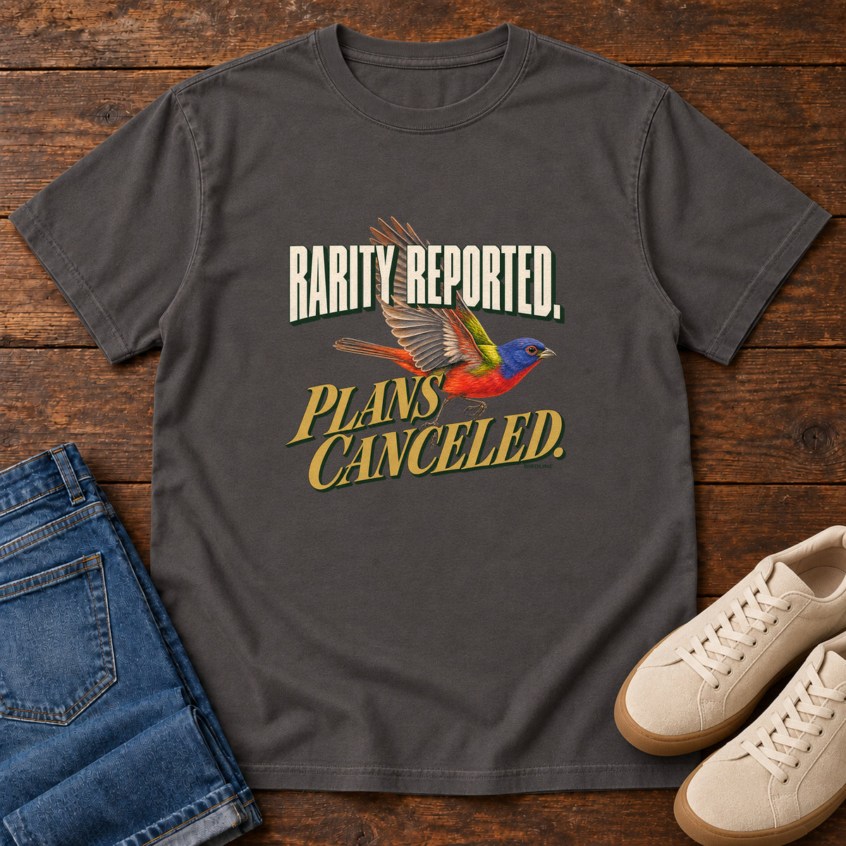 Rarity Reported Plans Cancelled T-Shirt in Graphite