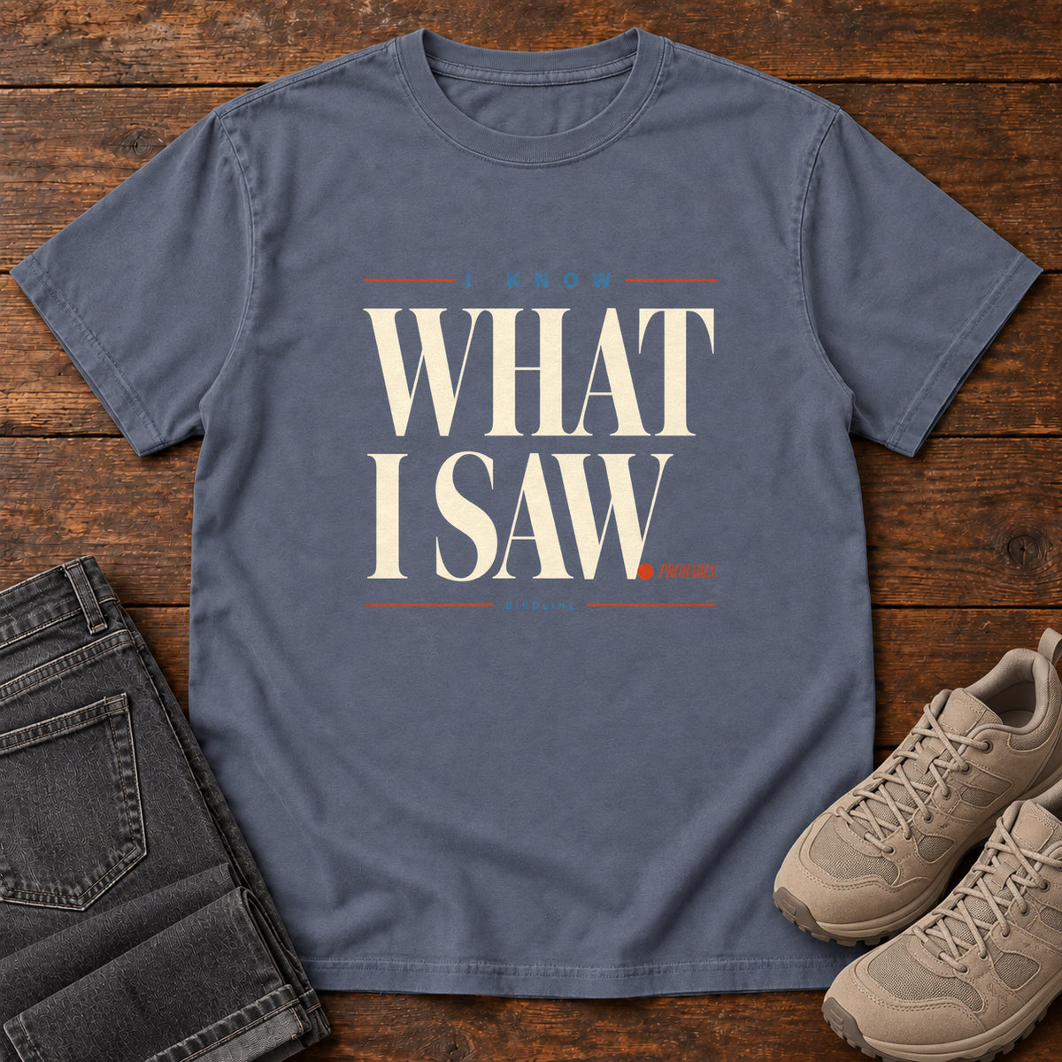 I Know What I Saw Variant T-Shirt in Denim