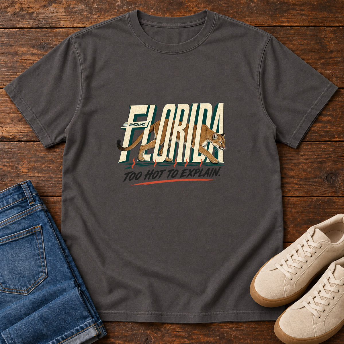 Florida Too Hot to Explain Panther T-Shirt in Graphite