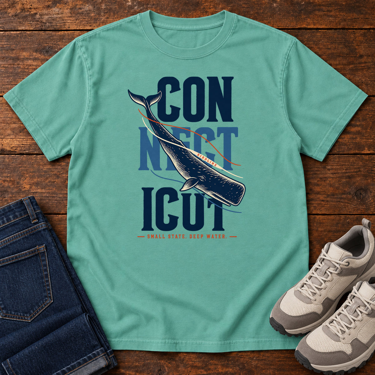 Connecticut Small State Deep Water Whale T-Shirt in Seafoam
