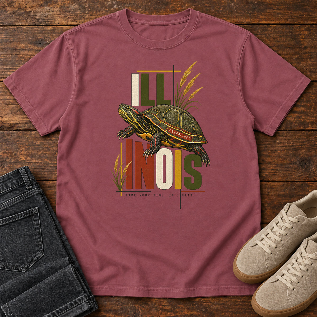 Illinois Take Your Time Turtle T-Shirt in Brick