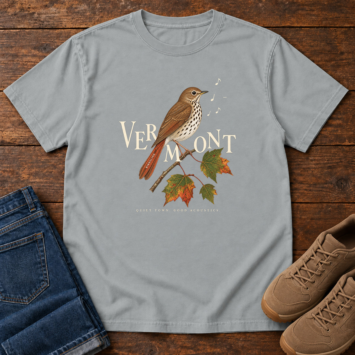 Vermont Quiet Town Good Acoustics Thrush T-Shirt in Granite