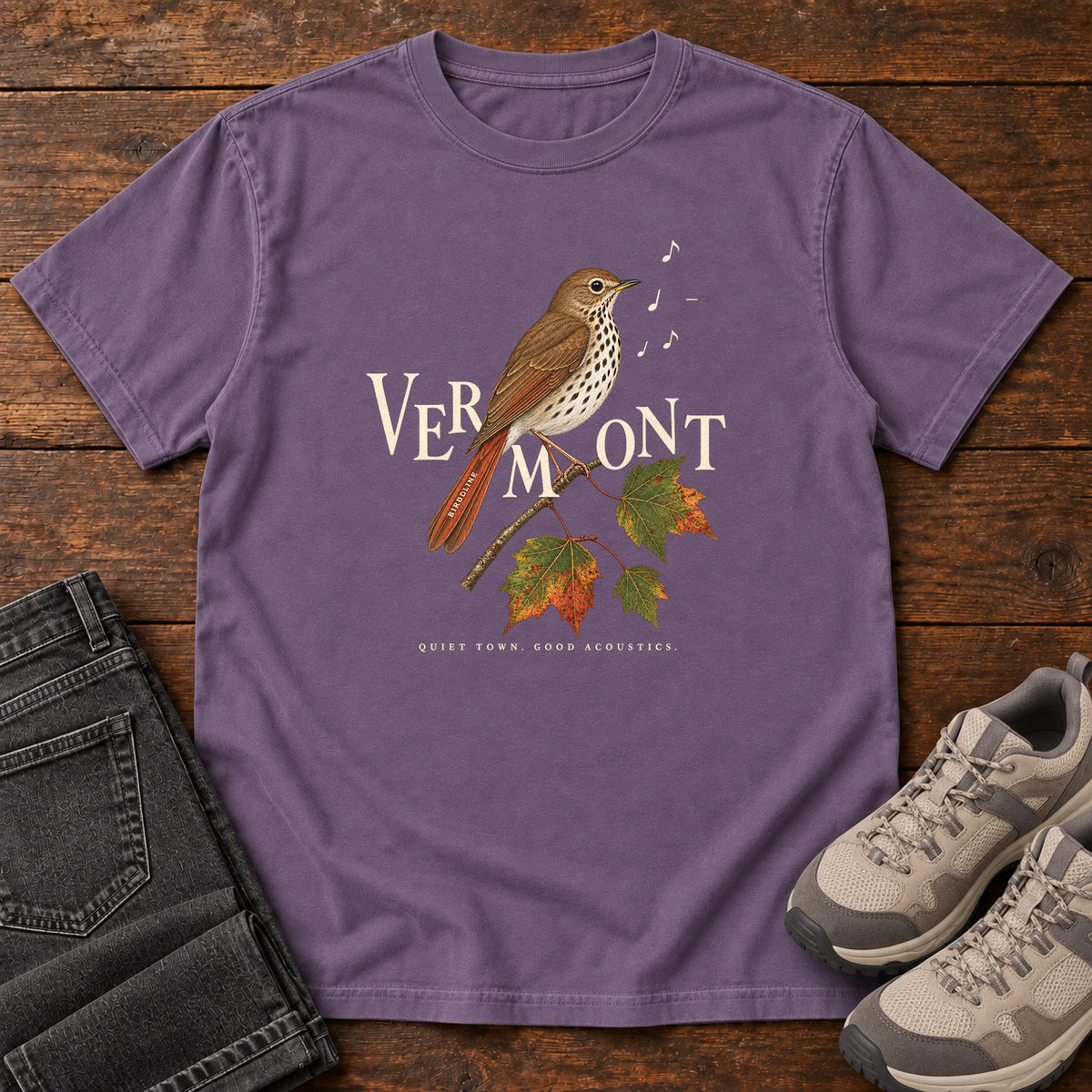 Vermont Quiet Town Good Acoustics Thrush T-Shirt in Grape