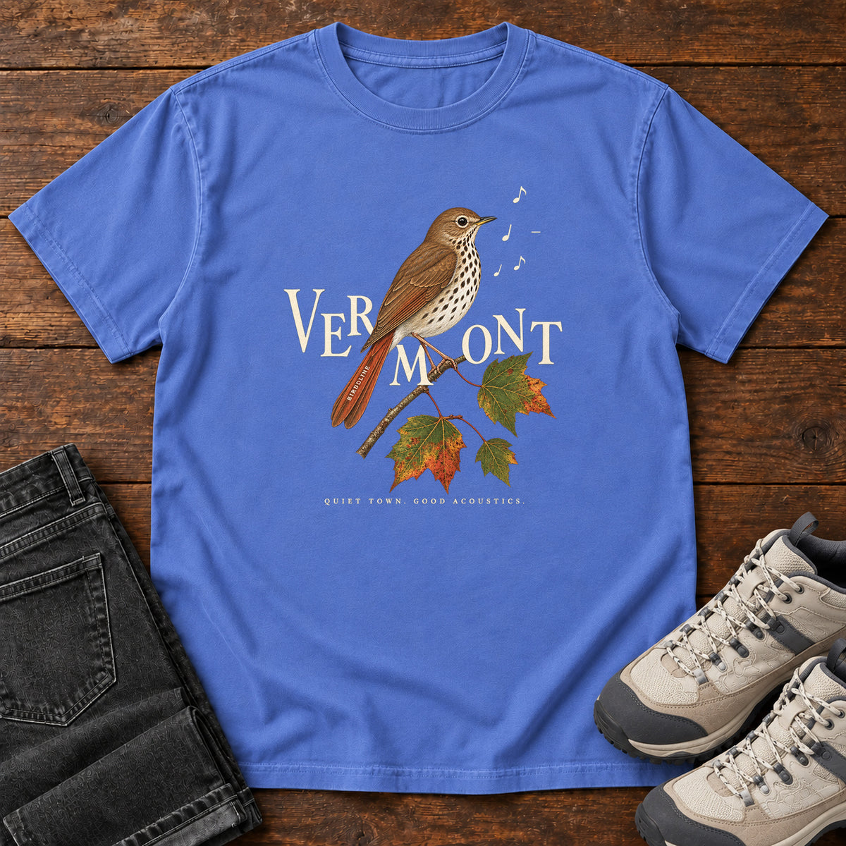 Vermont Quiet Town Good Acoustics Thrush T-Shirt in Mystic Blue