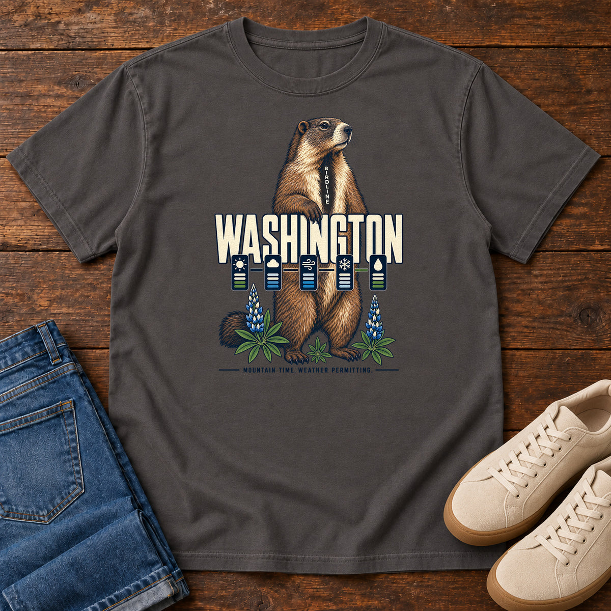 Washington Mountain Time Weather Permitting Marmot T-Shirt in Graphite