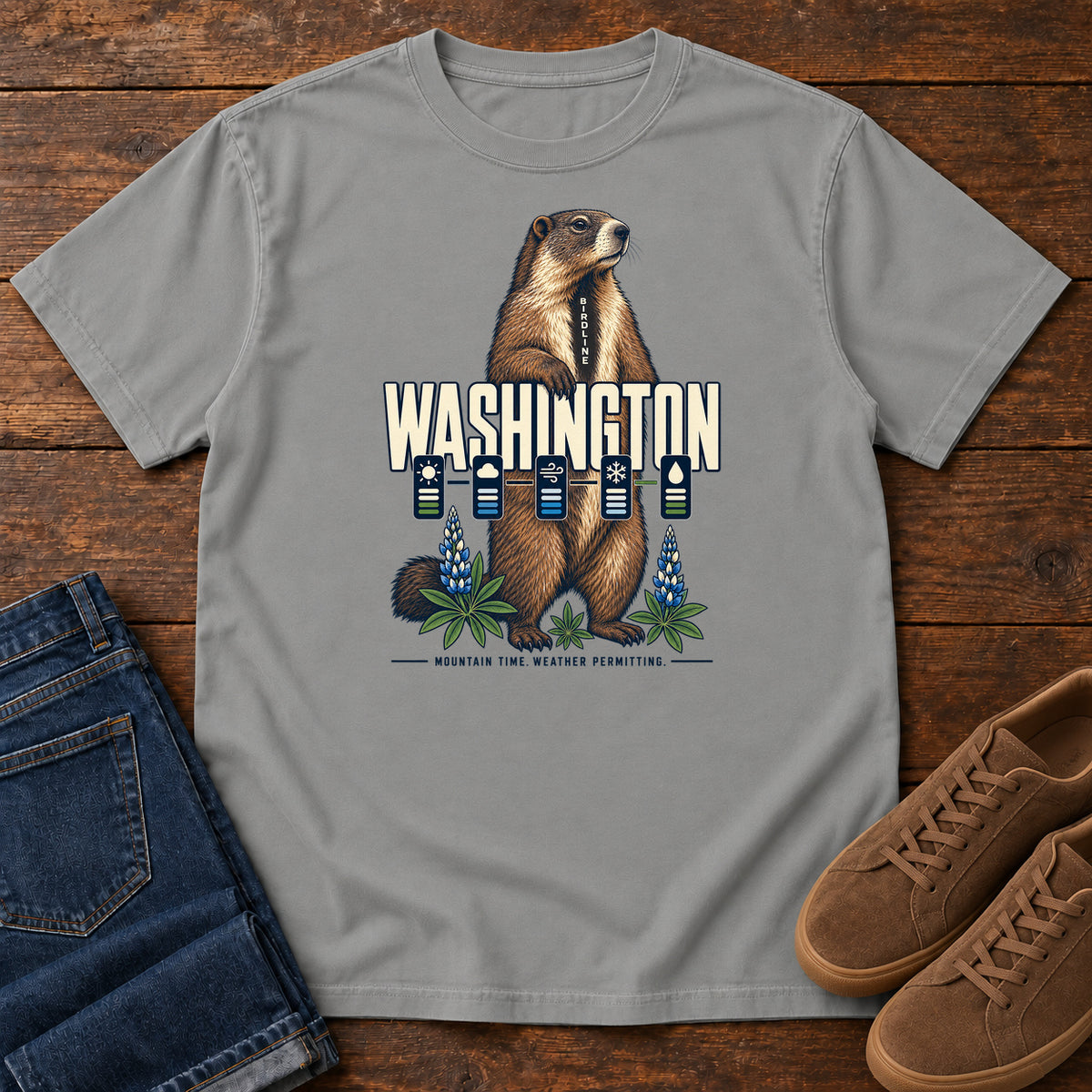 Washington Mountain Time Weather Permitting Marmot T-Shirt in Grey