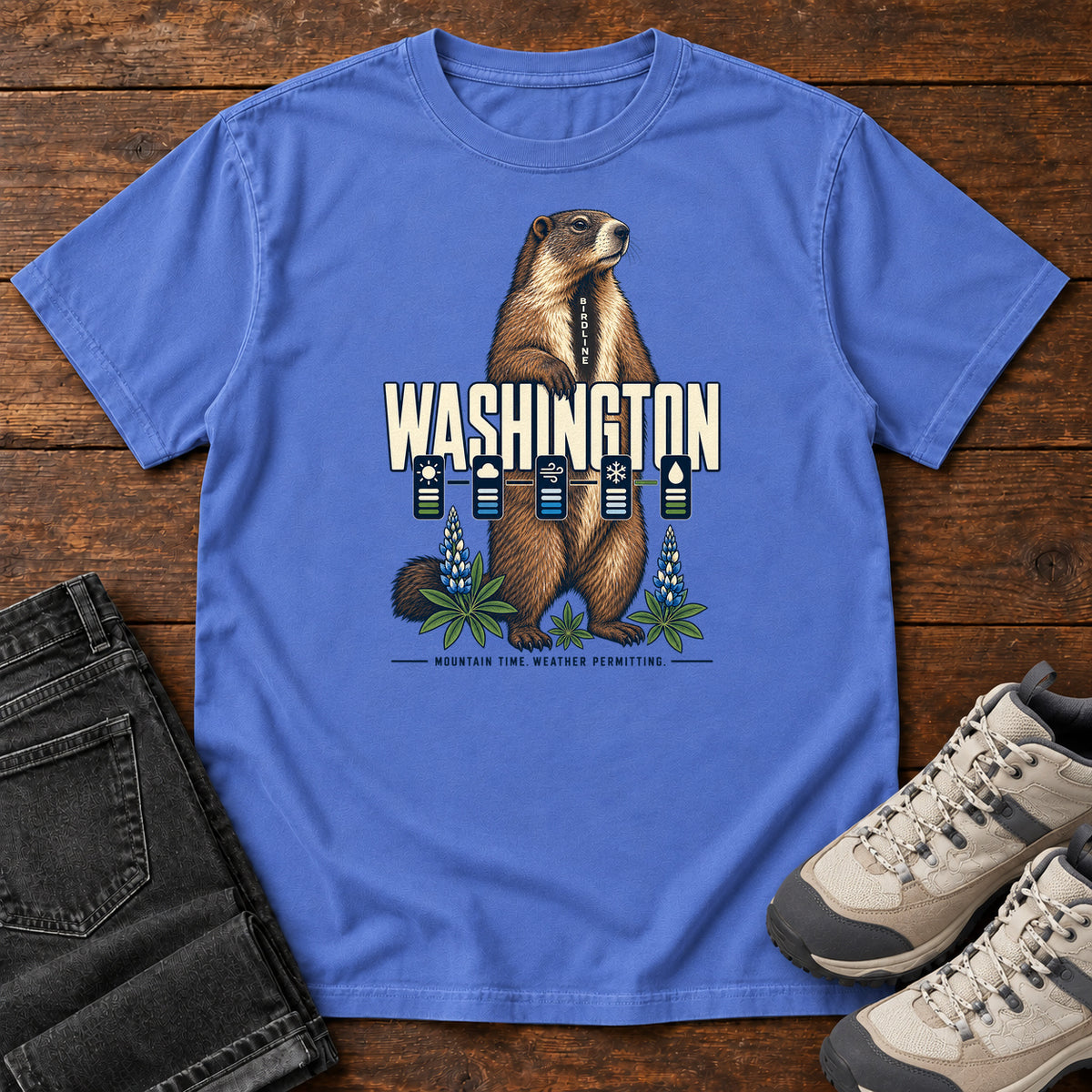 Washington Mountain Time Weather Permitting Marmot T-Shirt in Mystic Blue