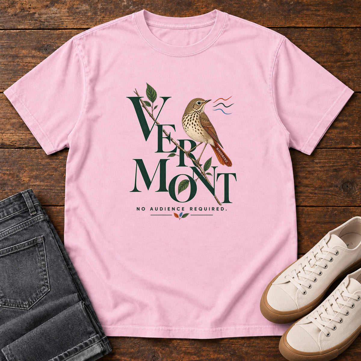 Vermont No Audience Required Thrush T-Shirt in Blossom