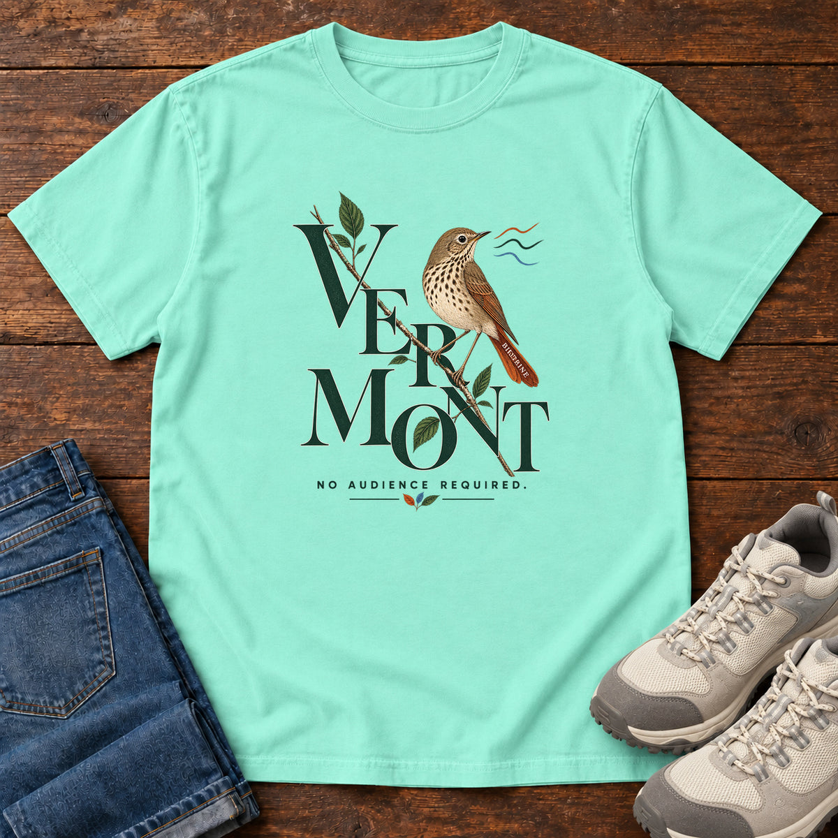 Vermont No Audience Required Thrush T-Shirt in Chalky Mint