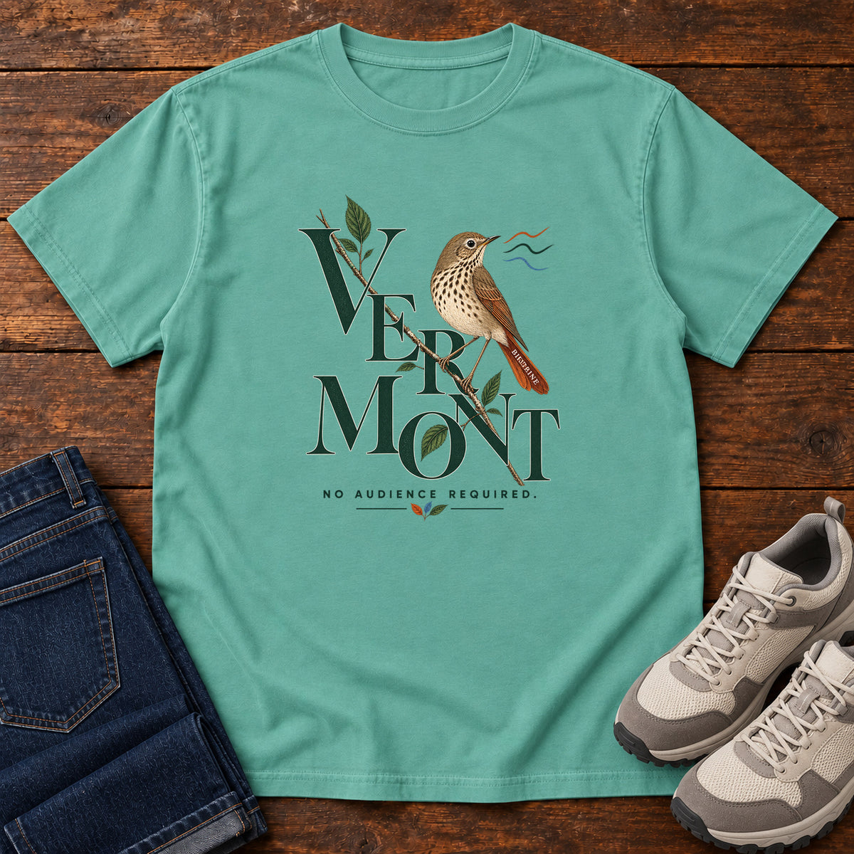 Vermont No Audience Required Thrush T-Shirt in Seafoam