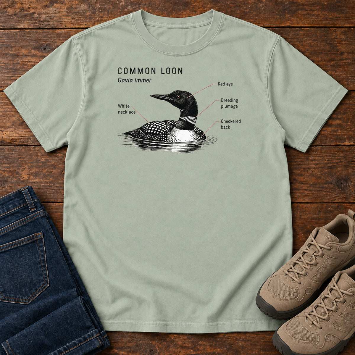 Common Loon T-shirt in Bay