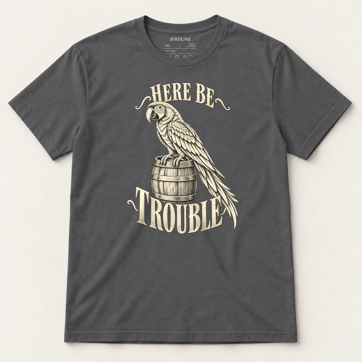 Here Be Trouble T-Shirt in Charcoal, front view