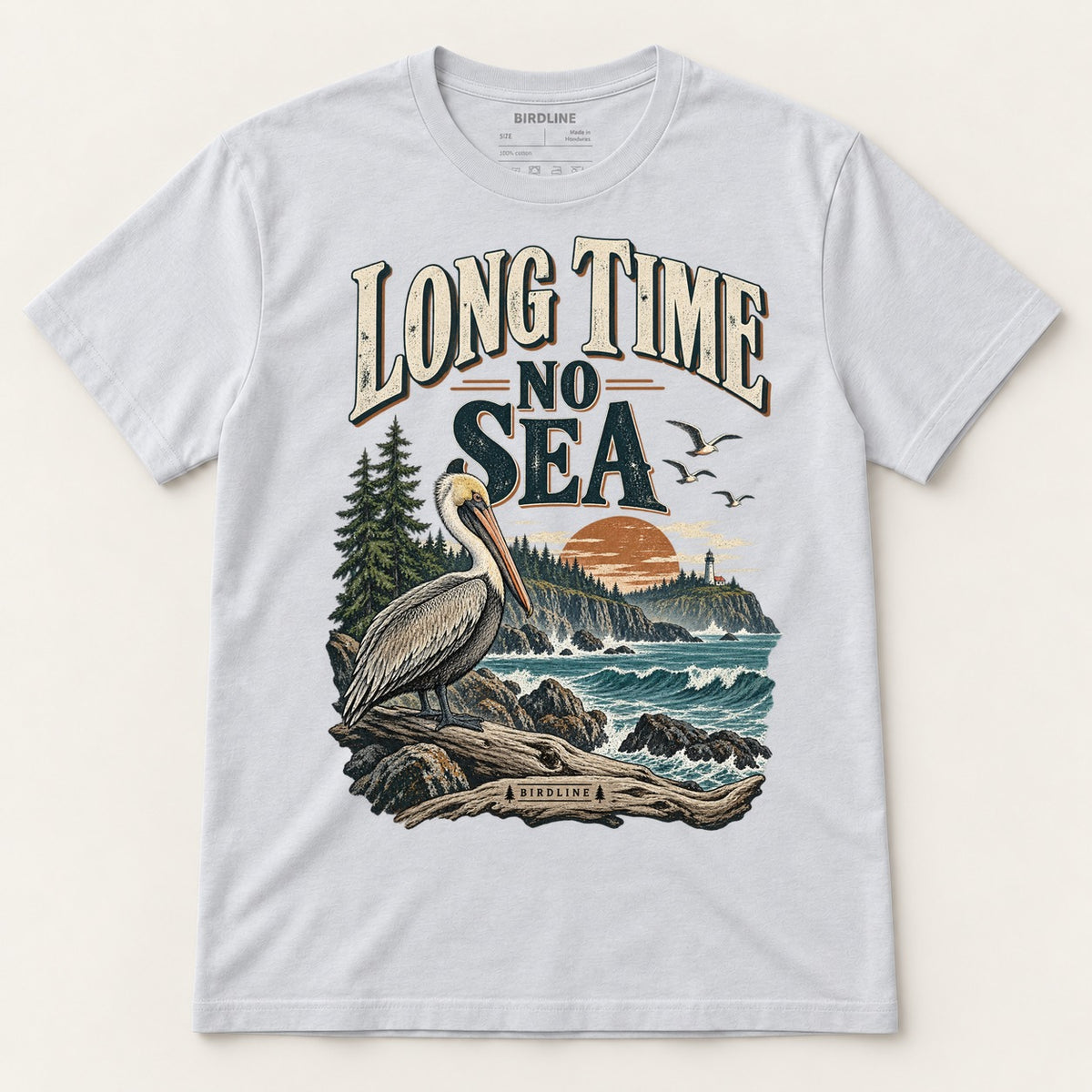 Long Time No Sea T-Shirt in Ice Grey, front view