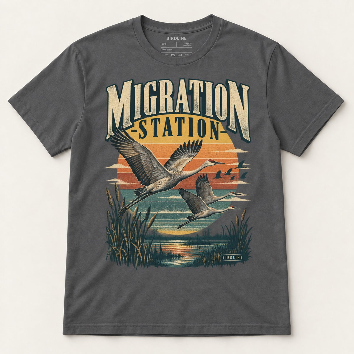 Migration Station T-Shirt in Charcoal, front view