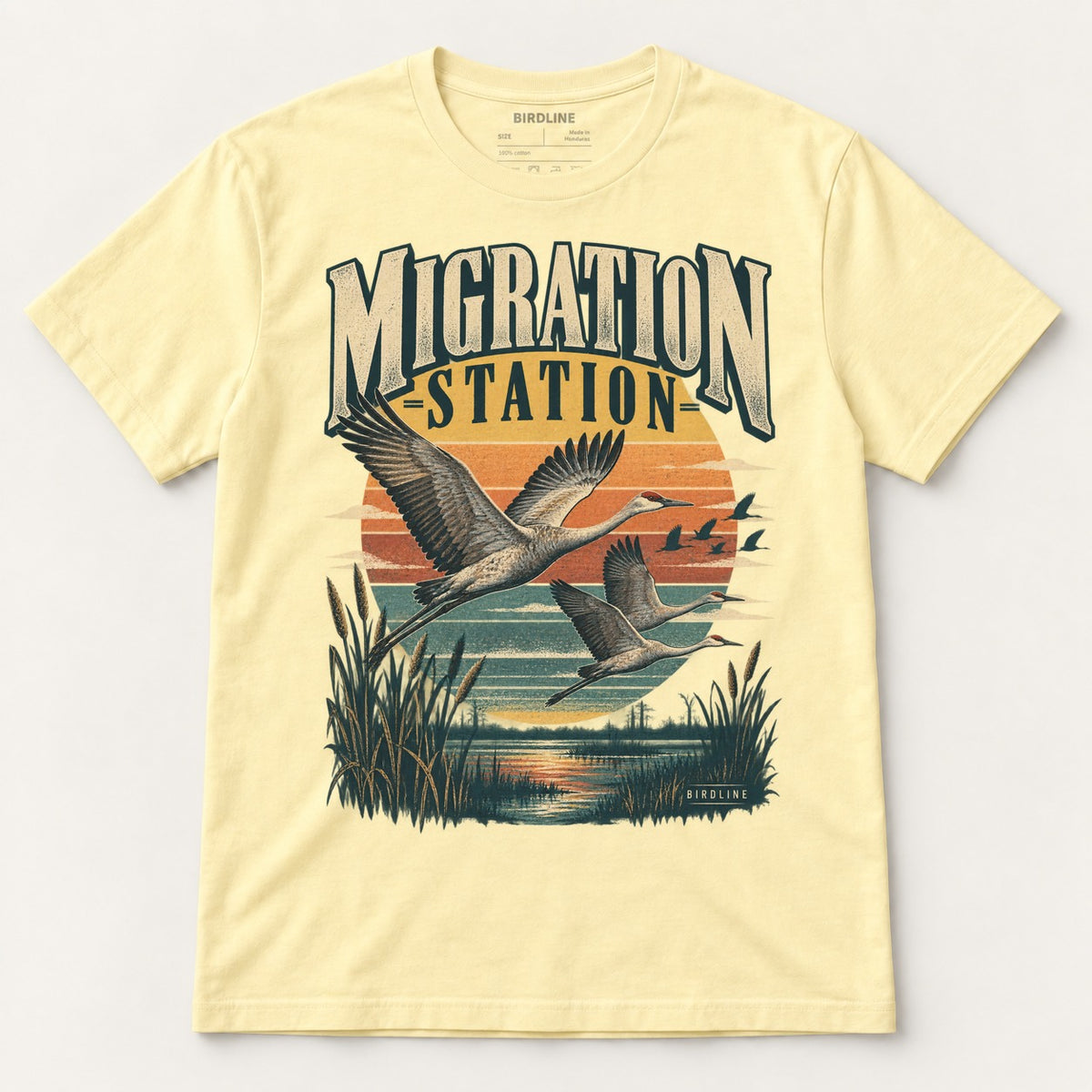 Migration Station T-Shirt in Cornsilk, front view