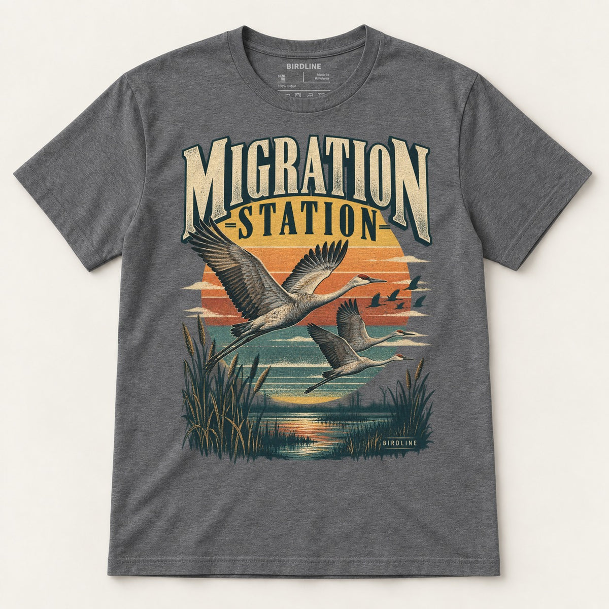 Migration Station T-Shirt in Dark Heather, front view
