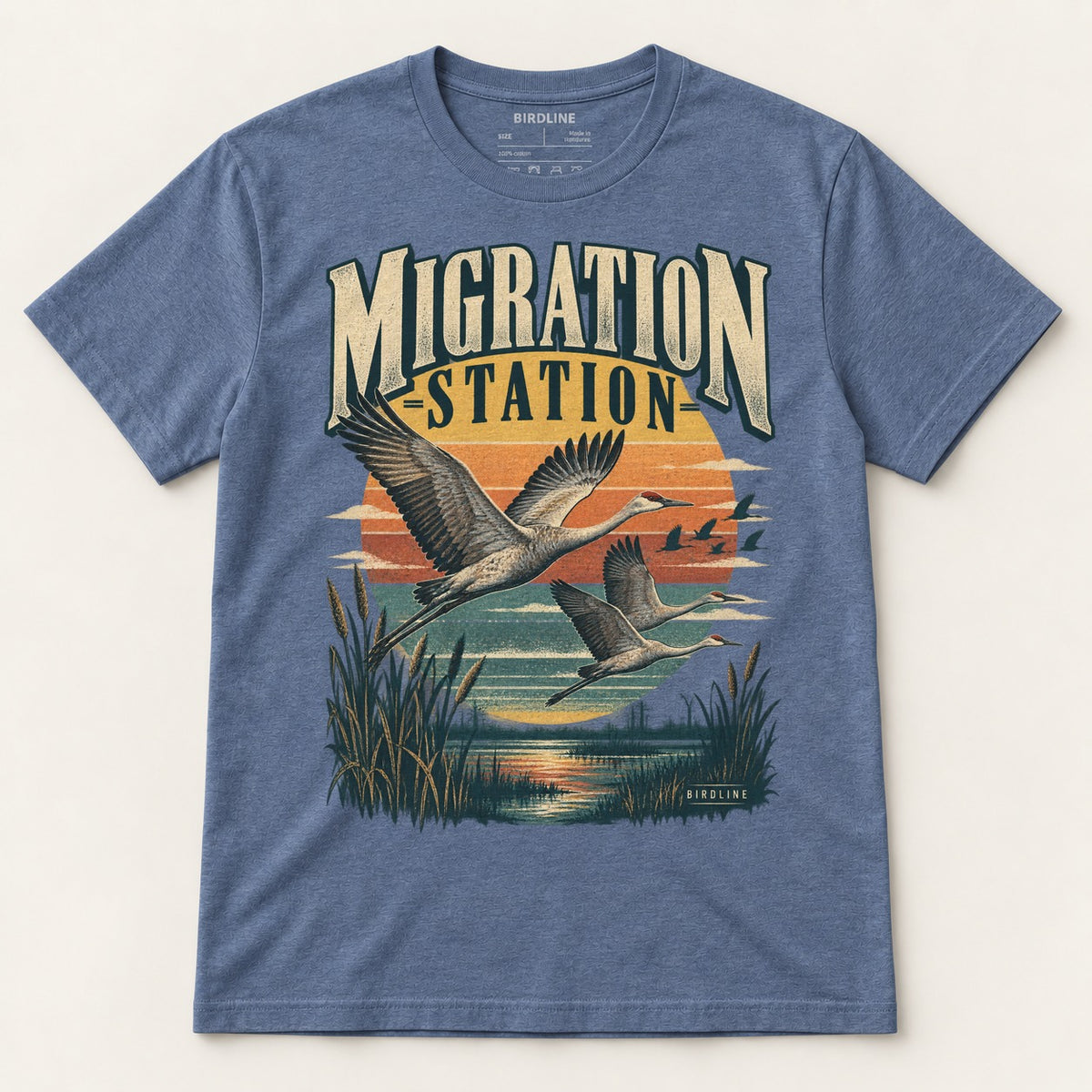 Migration Station T-Shirt in Heather Indigo, front view
