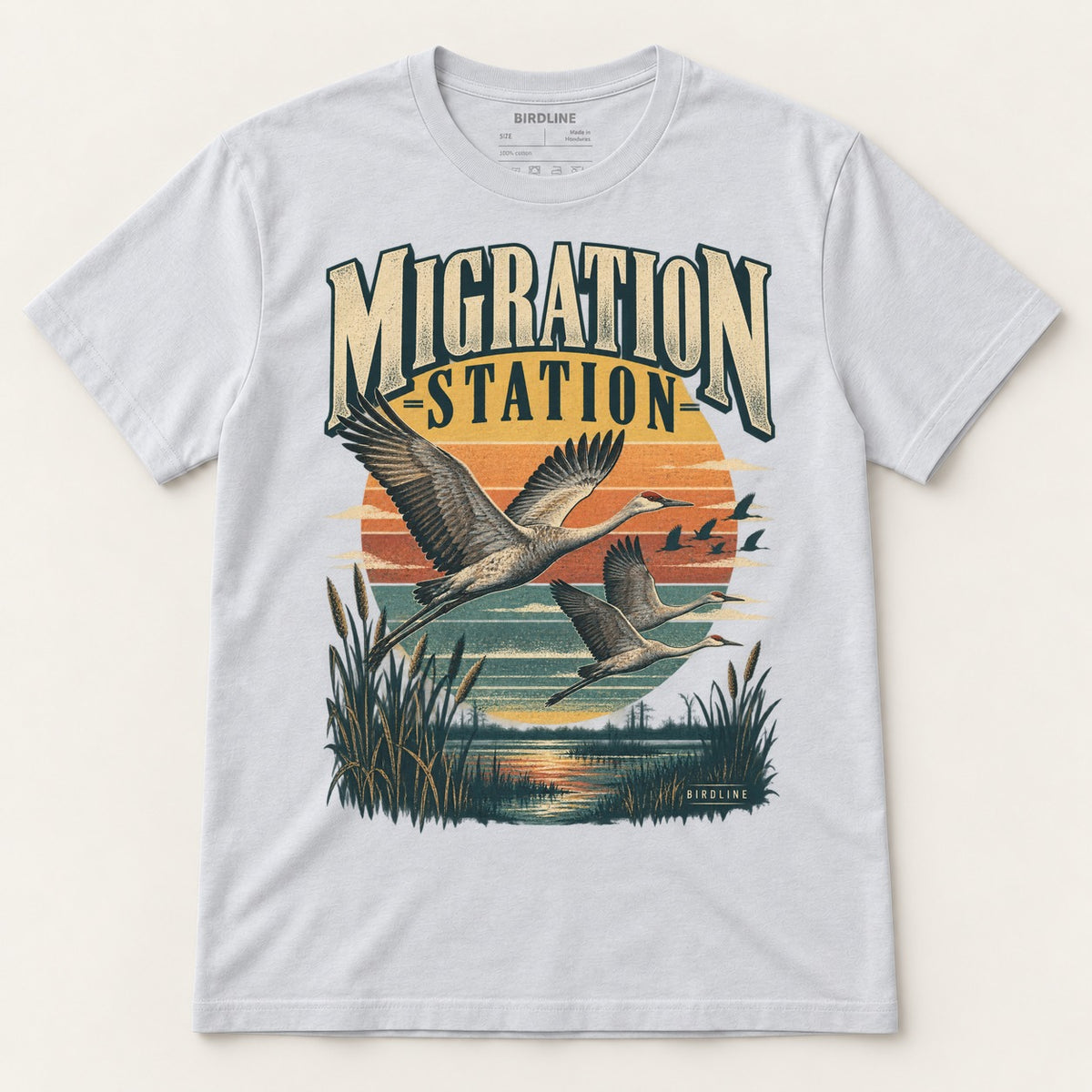 Migration Station T-Shirt in Ice Grey, front view