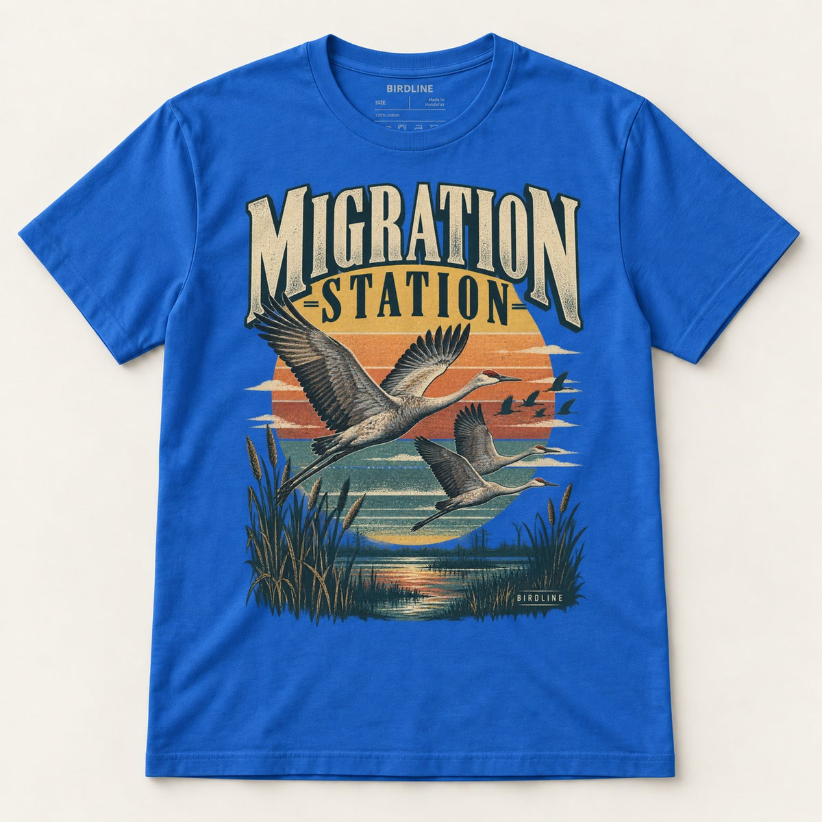 Migration Station T-Shirt in Royal, front view