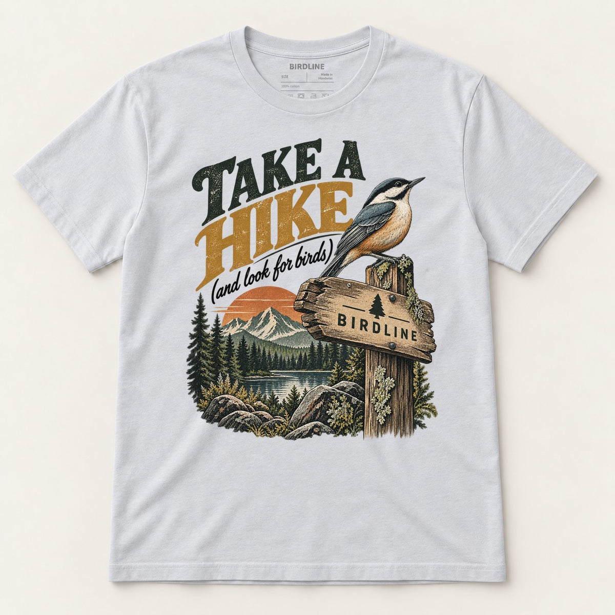 Take A Hike T-Shirt in Ice Grey, front view