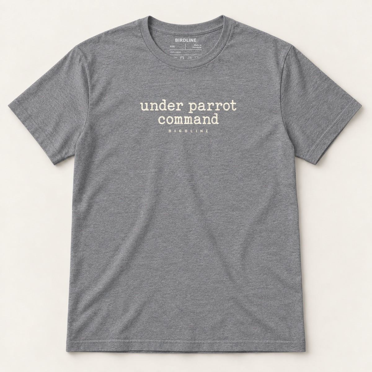 Under Parrot Command T-Shirt in Graphite Heather, front view