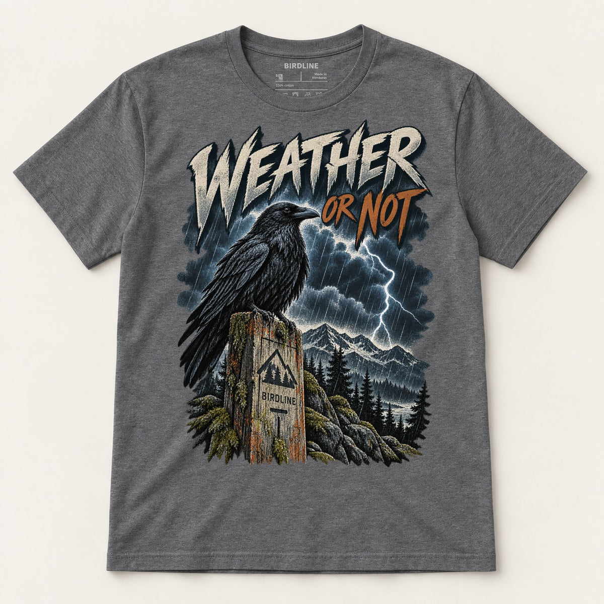 Weather Or Not T-Shirt in Dark Heather, front view