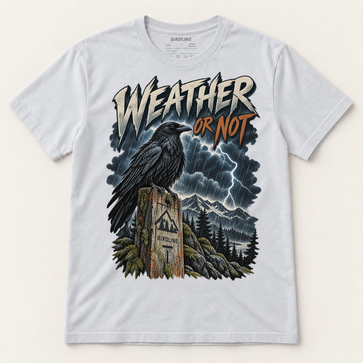 Weather Or Not T-Shirt in Ice Grey, front view