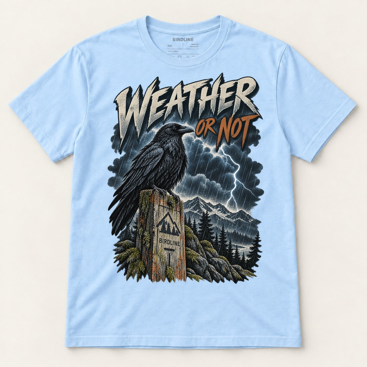 Weather Or Not T-Shirt in Light Blue, front view