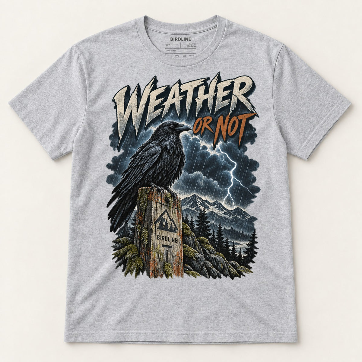 Weather Or Not T-Shirt in Sport Grey, front view