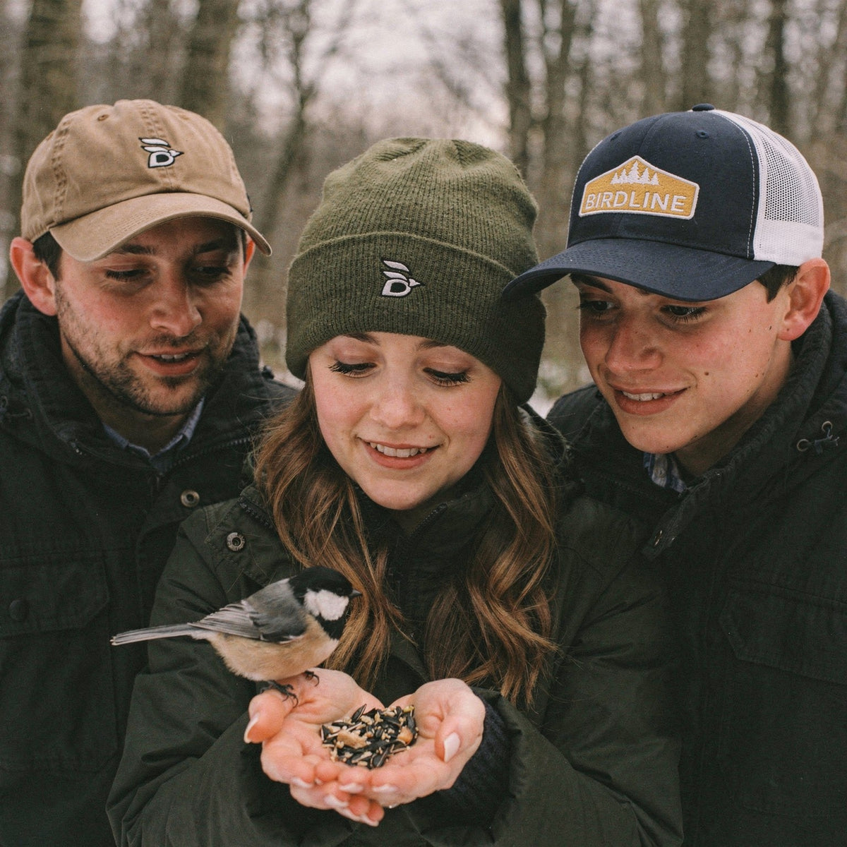 Three birders in a Birdline Logo Dad Hat, Logo Cuffed Beanie and Golden Treeline Trucker Hat watching a chickadee eat seed from an open hand