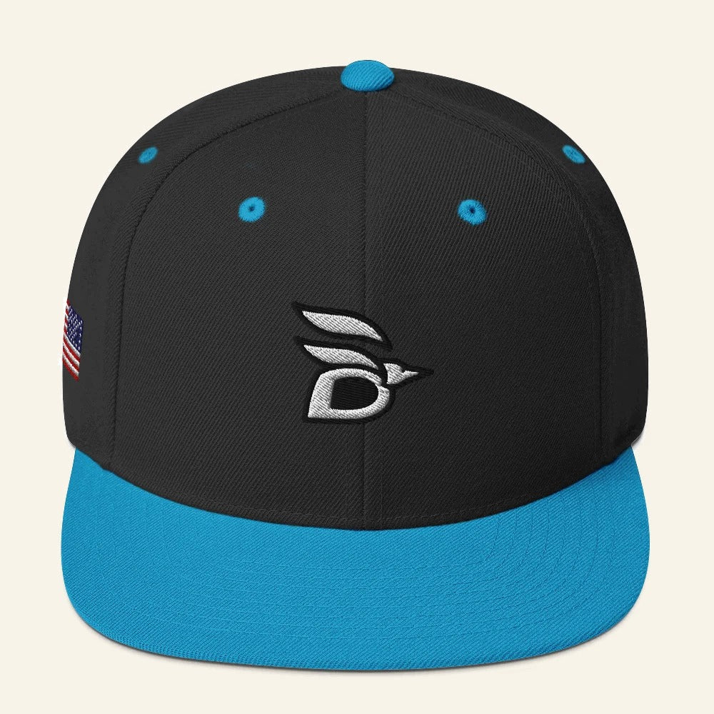Birdline Logo Flag Snapback Hat in Black/Teal, front view