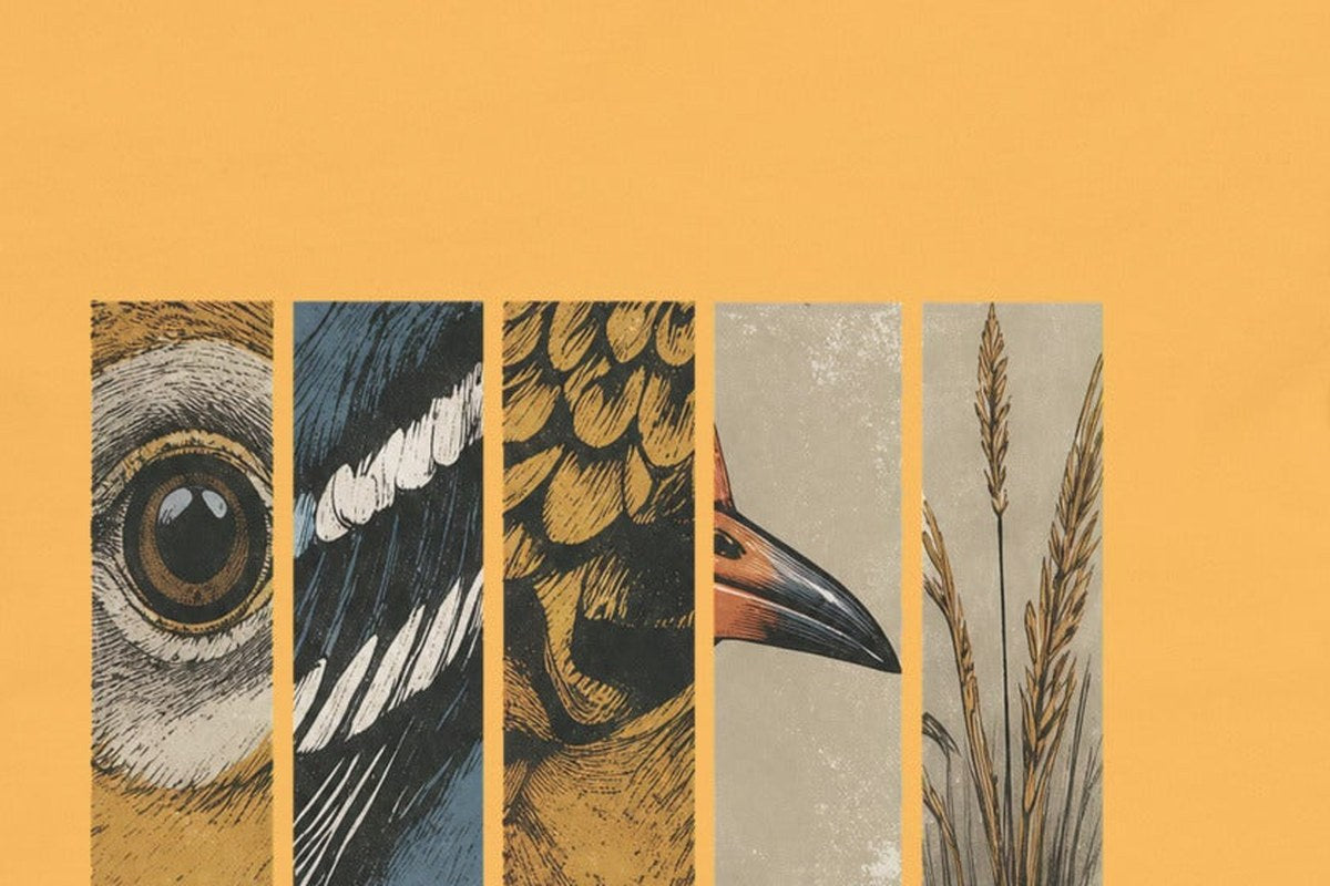 Close graphic study of bird eyes, feathers, beak and grass