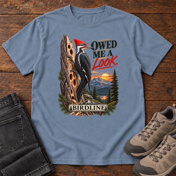 Owed Me a Look T-Shirt, alternate view