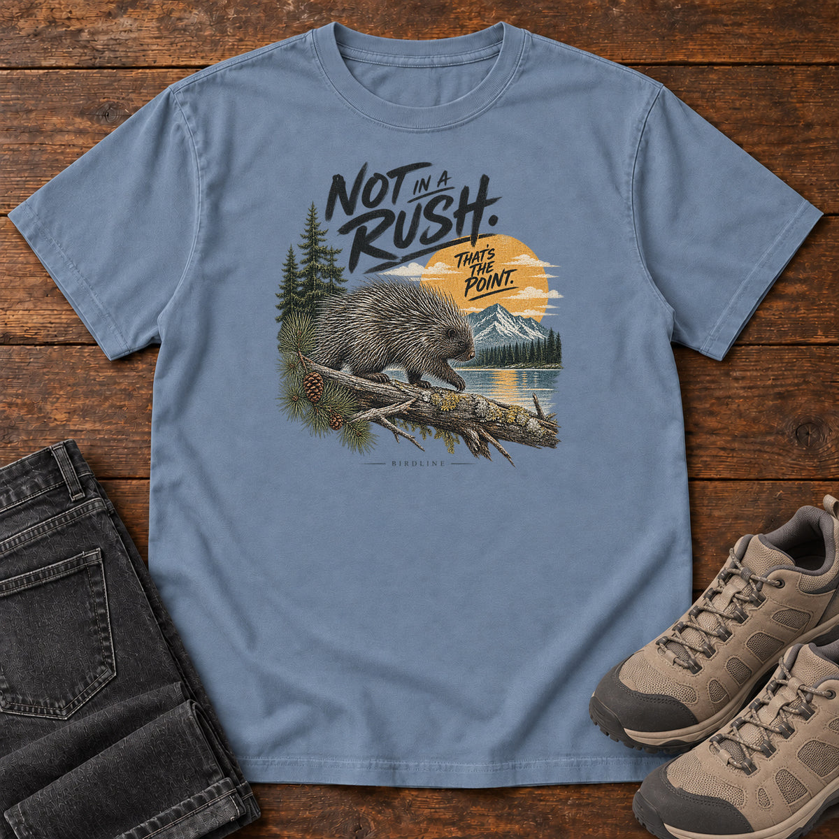 Not in a Rush That's the Point Porcupine T-Shirt in Blue Jean
