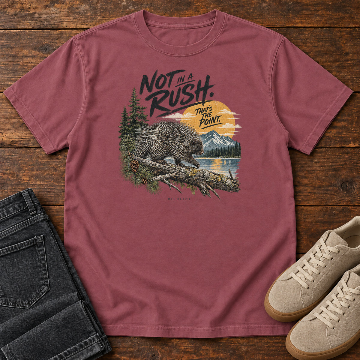 Not in a Rush That's the Point Porcupine T-Shirt in Brick