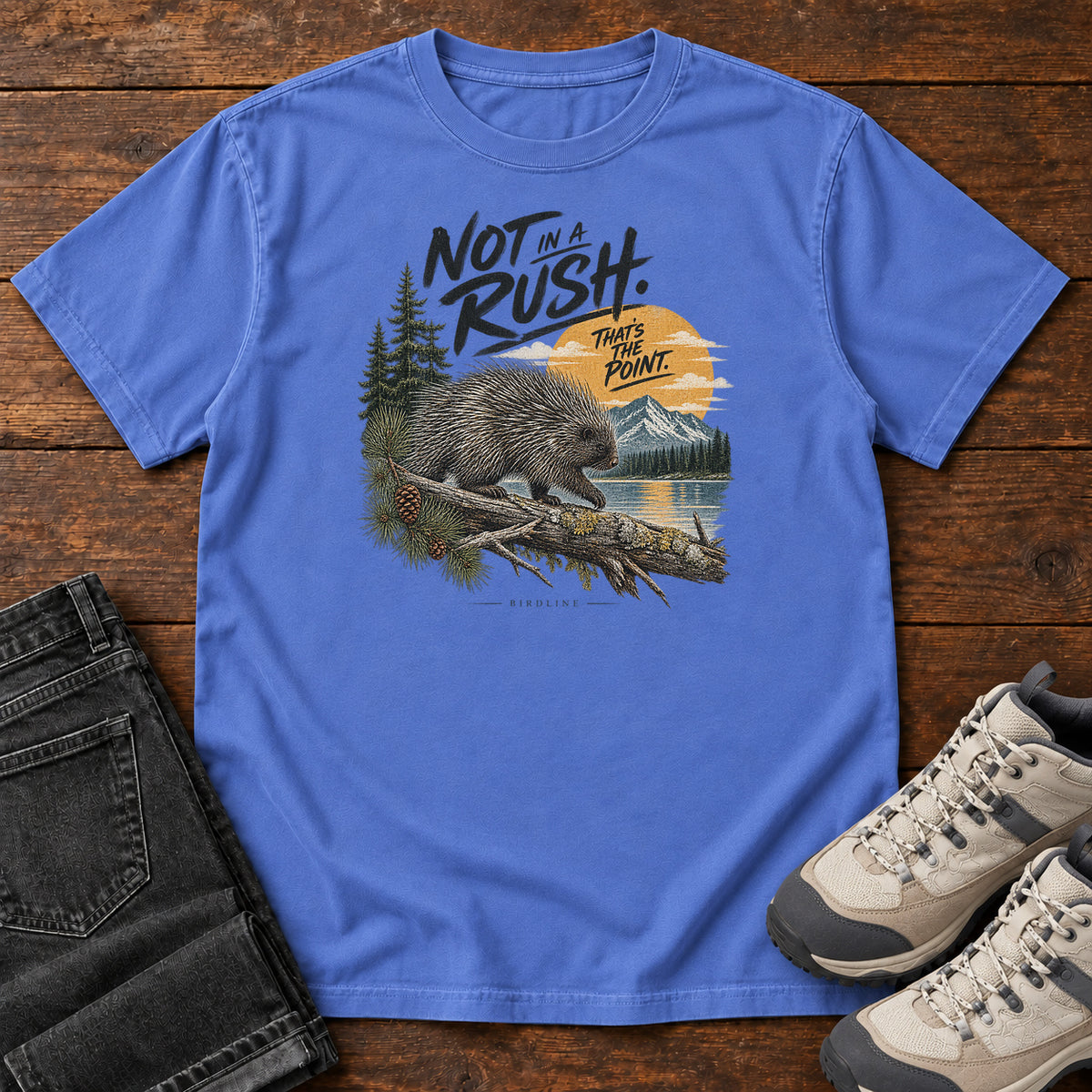 Not in a Rush That's the Point Porcupine T-Shirt in Mystic Blue