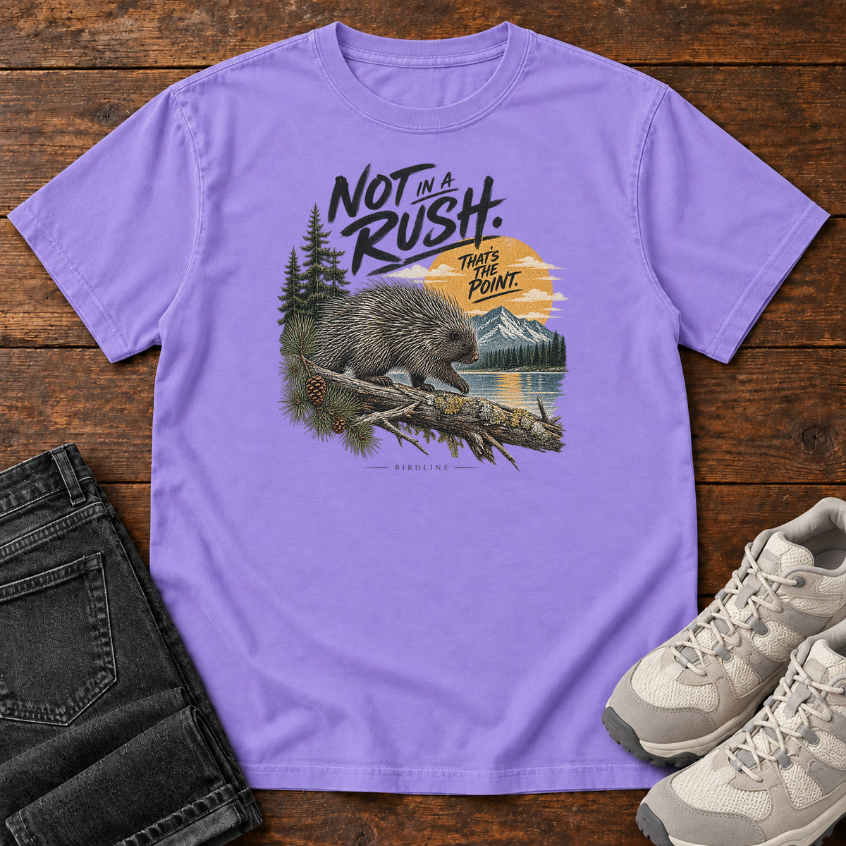 Not in a Rush That's the Point Porcupine T-Shirt in Violet