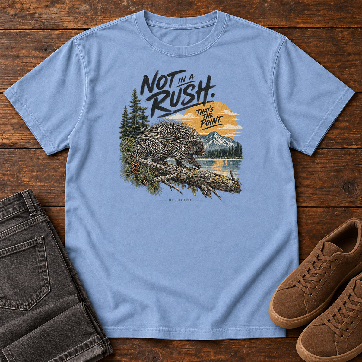 Not in a Rush That's the Point Porcupine T-Shirt in Washed Denim