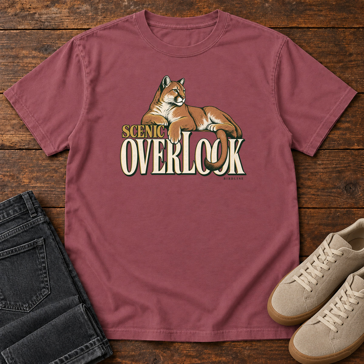 Scenic Overlook T-Shirt in Brick, front view
