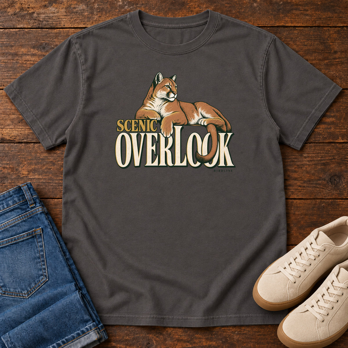 Scenic Overlook T-Shirt in Graphite, front view